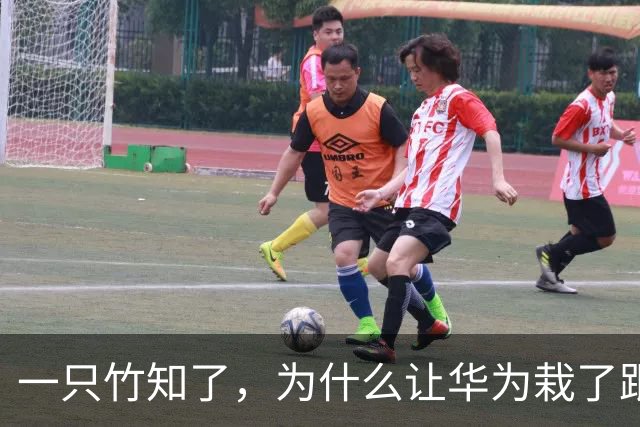 一只竹知了，为什么让华为栽了跟头？
