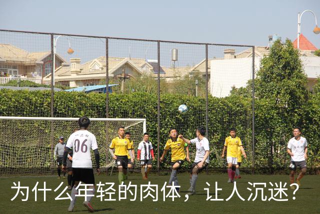 为什么年轻的肉体，让人沉迷？
