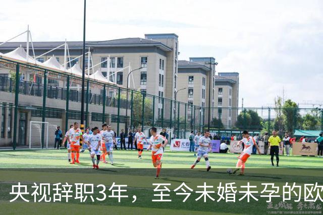 央视辞职3年，至今未婚未孕的欧阳夏丹，早已走上了另一条大道