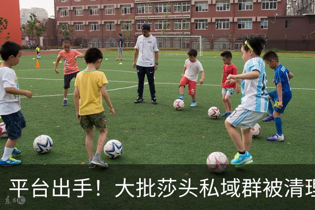 平台出手！大批莎头私域群被清理，饭圈乱象整治，全网纷纷叫好