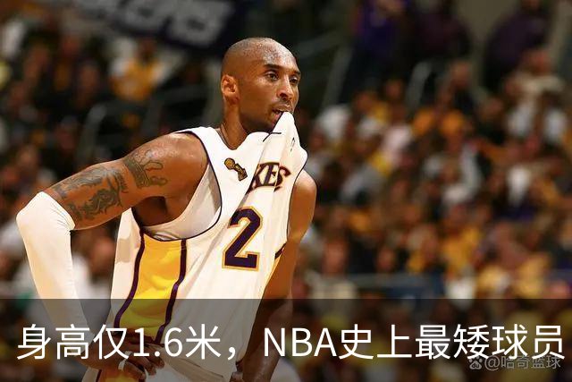身高仅1.6米，NBA史上最矮球员，博格斯的球衣号码将在黄蜂队退役