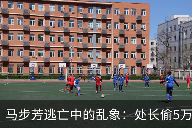马步芳逃亡中的乱象：处长偷5万两黄金，三姨太与情人争风吃醋！